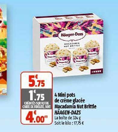 4 mini pots de crème glacée macadamia nut brittle häagen-dazs