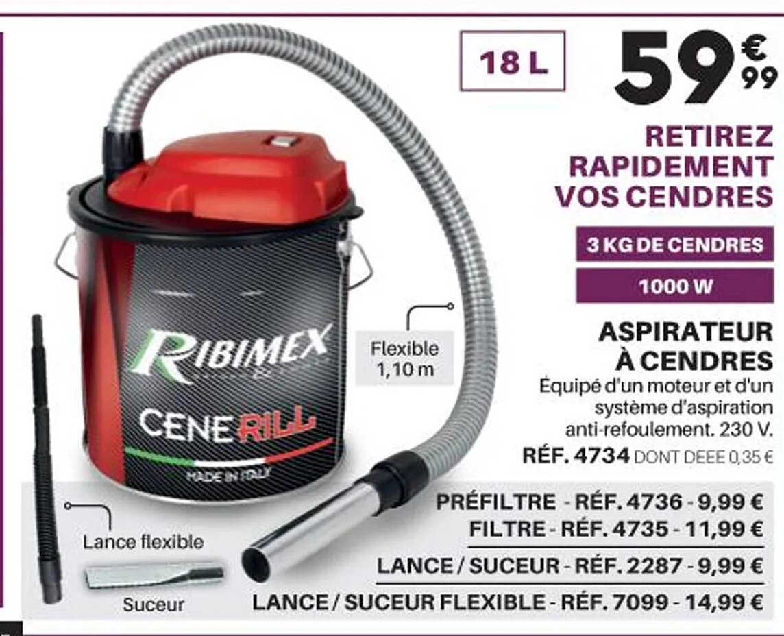 aspirateur à cendres ribimex