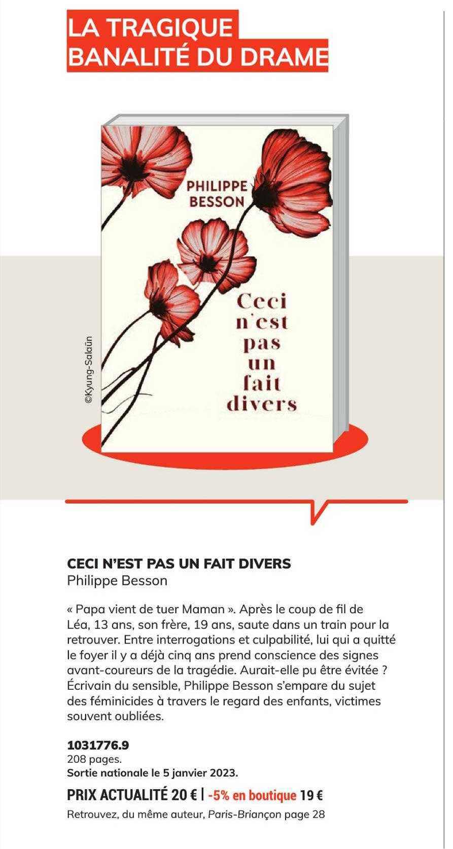 ceci n'est pas un fait divers - philippe besson