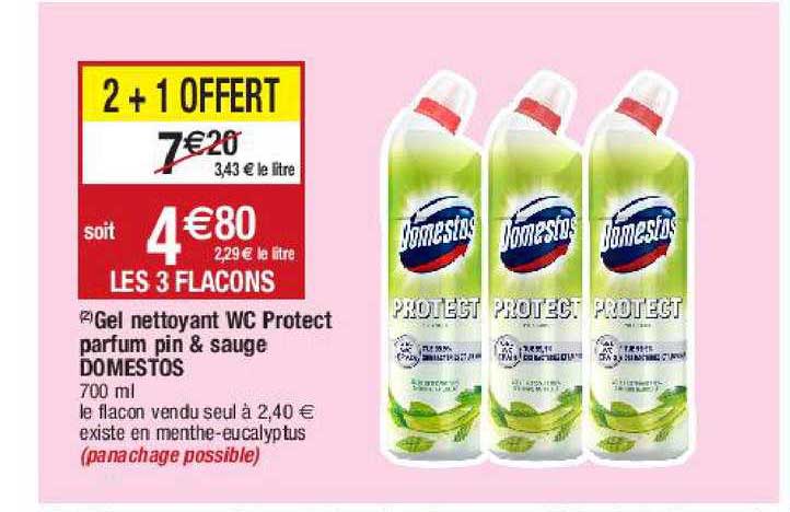 gel nettoyant wc protect parfum pin & sauge domestos