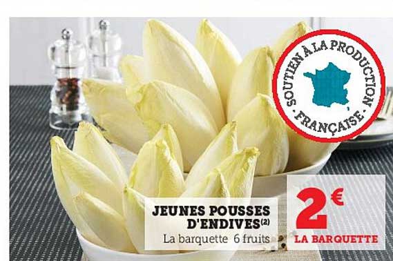 jeunes pousses d'endives