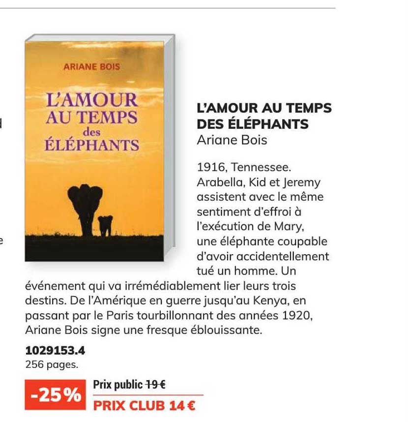 l'amour au temps des éléphants - ariane bois