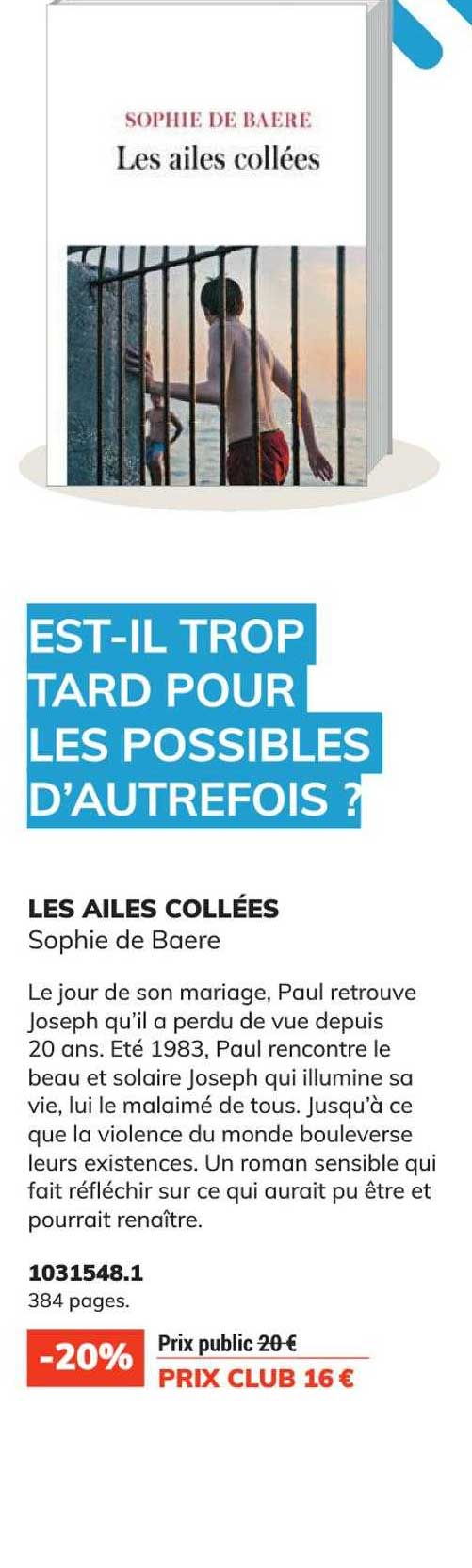 les ailes collées - sophie de boere