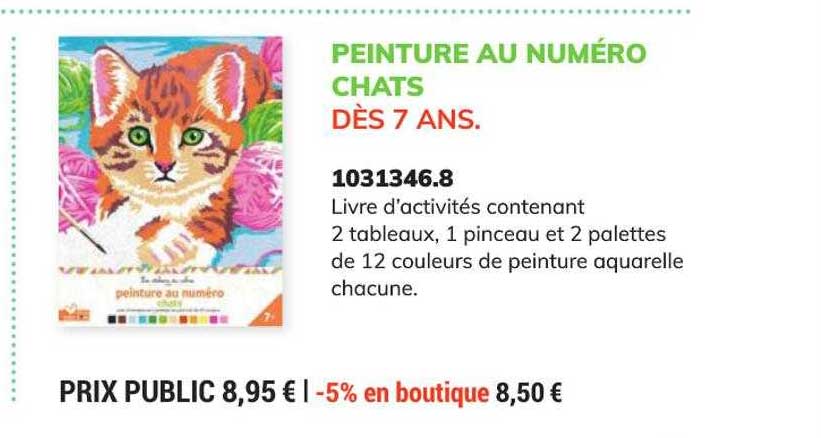 peinture au numéro chats