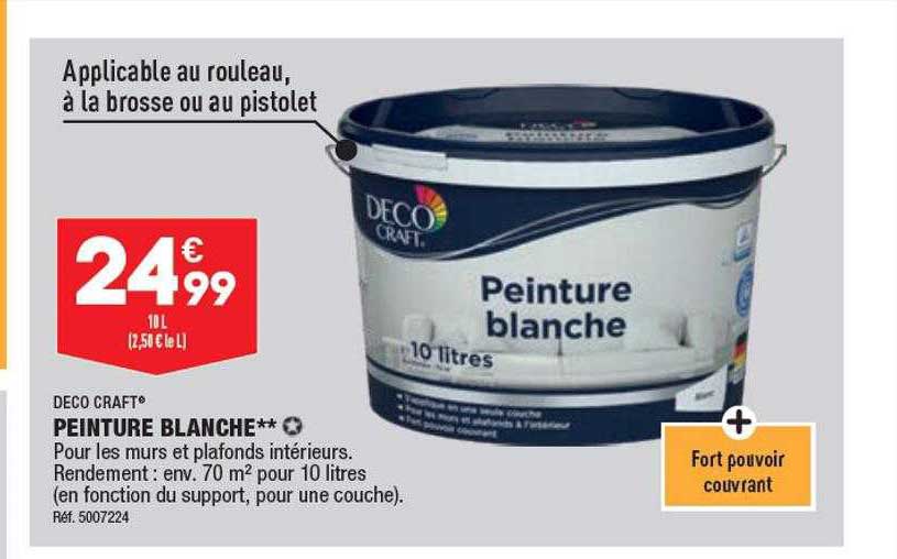 Peinture Blanche Deco Craft