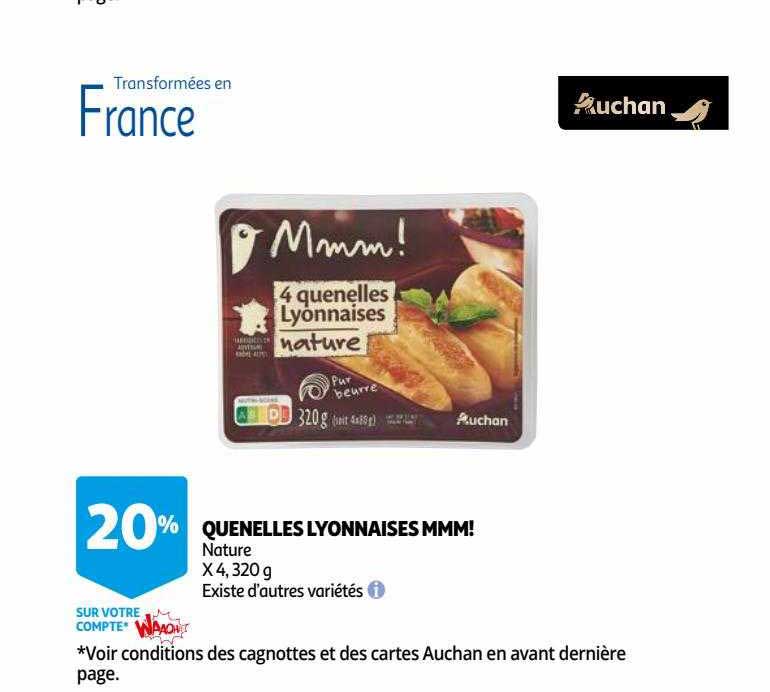 quenelles lyonnaises mmm!