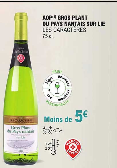 Aop Gros Plant Du Pays Nantais Sur Lie Les Caractères