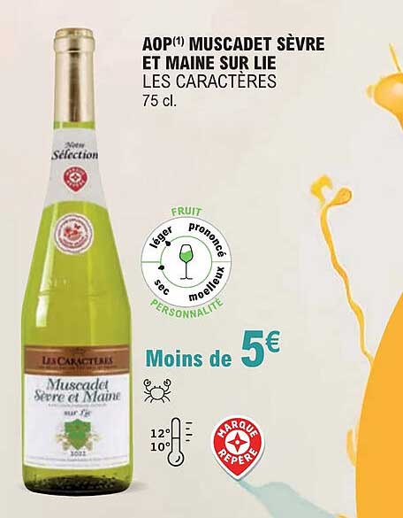 aop muscadet sèvre et maine sur lie les caractères