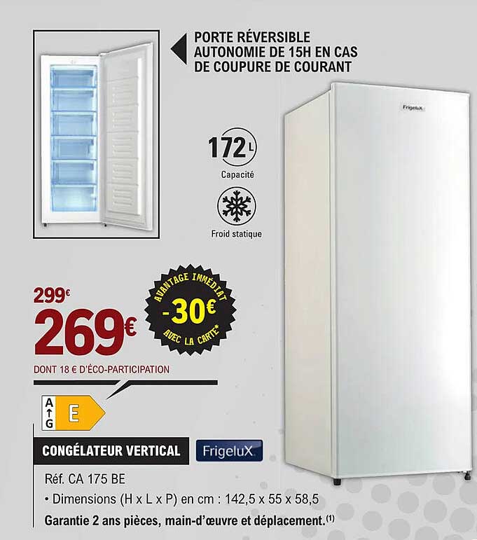 Congélateur Vertical Frigelux