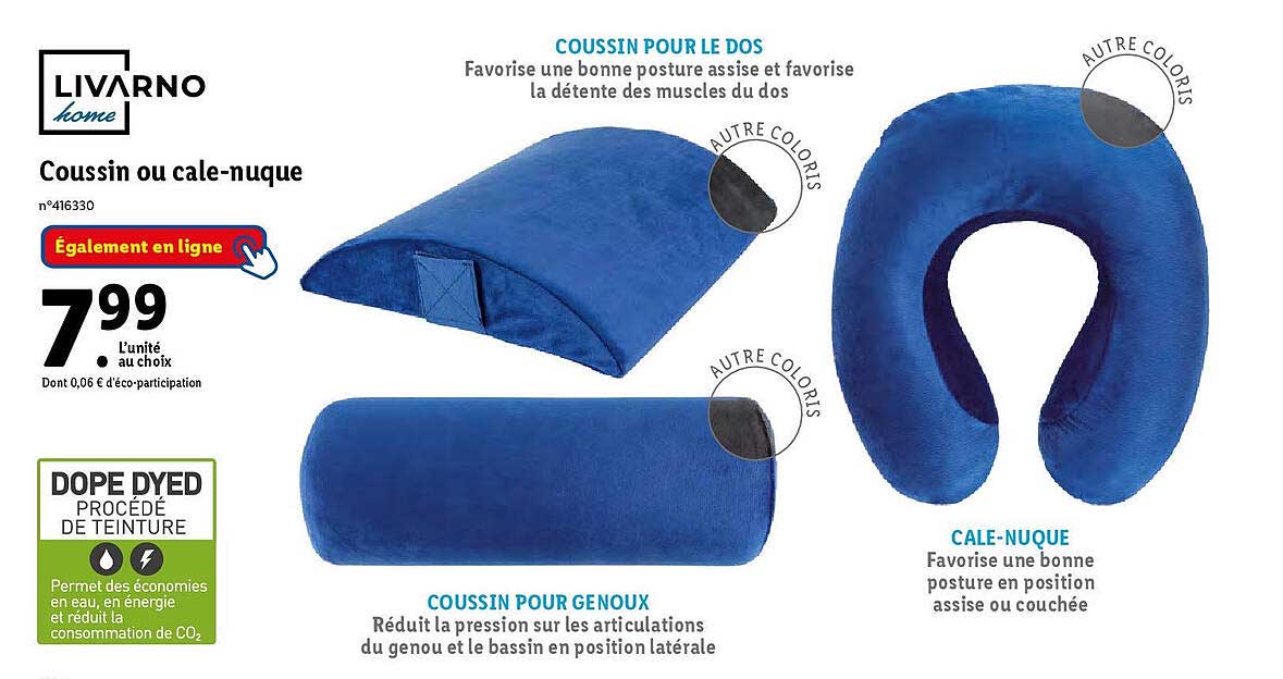 coussin ou cale-nuque livarno home
