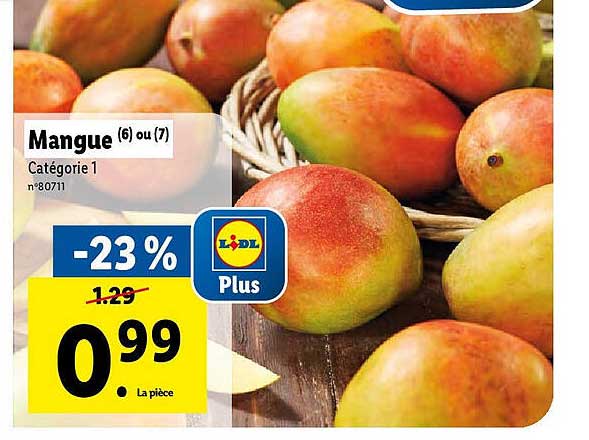 Mangue
