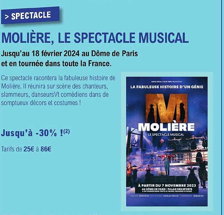 molière, le spectacle musical