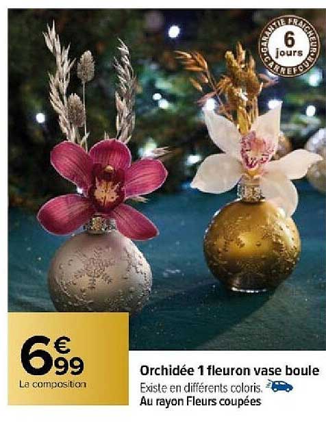 Orchidée 1 Fleuron Vase Boule