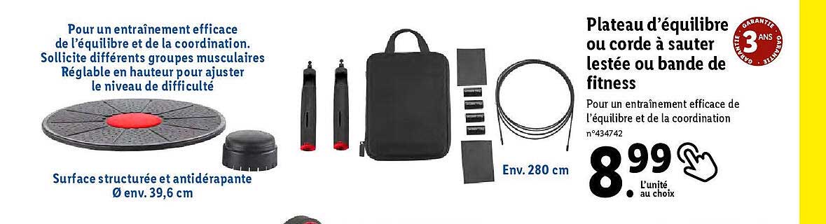 plateau d'équilibre ou corde à sauter lestée ou bande de fitness