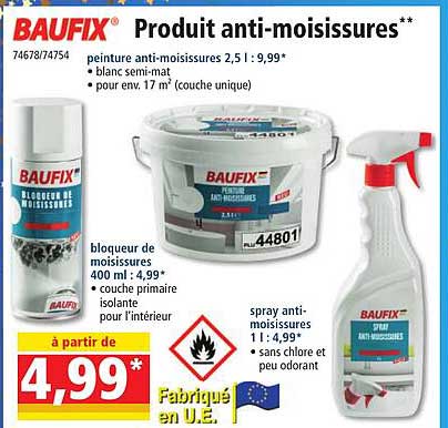 produit anti-moisissures baufix