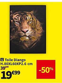 toile diango h.80 x l60 x p2.6 cm