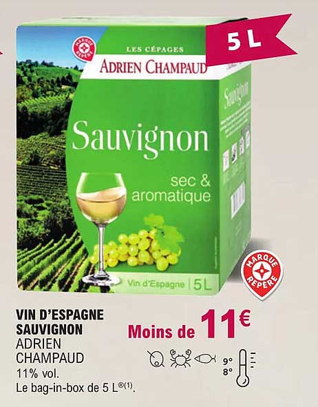 vin d'espagne sauvignon adrien champaud 11% vol.