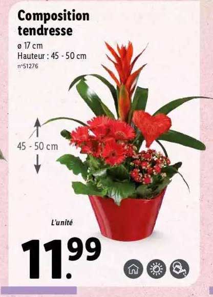 composition tendresse