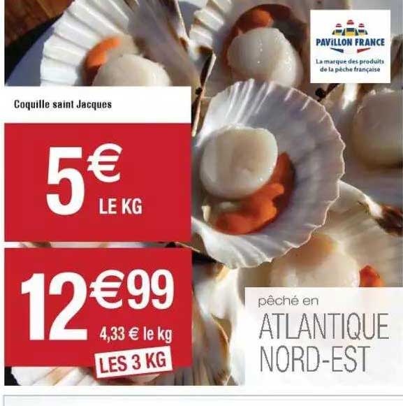 coquille saint jacques