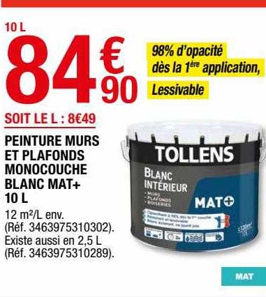 Pienture Murs Et Plafonds Monocouche Blanc Mat+ 10 L