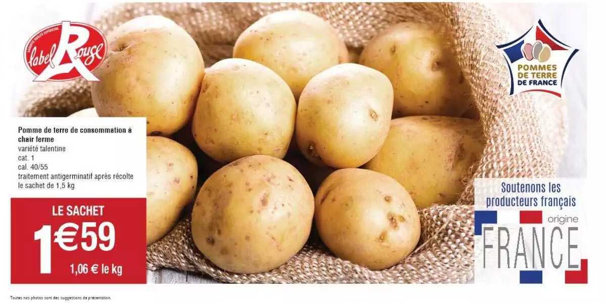 Pomme De Terre De Consommation à Chair Ferme