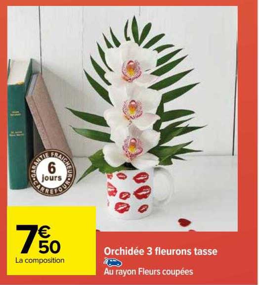 orchidée 3 fleurons tasse