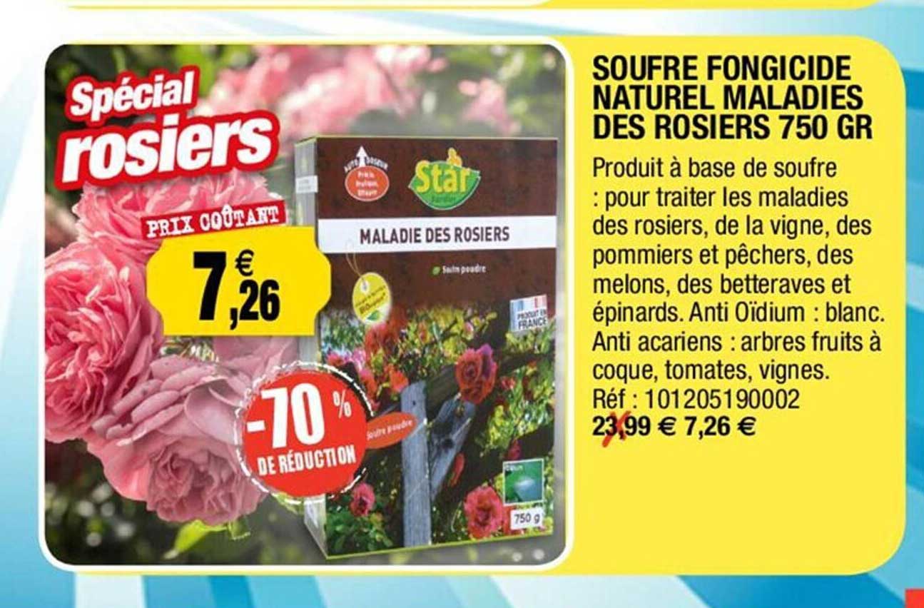 soufre fongicide naturel maladies des rosiers 750 gr