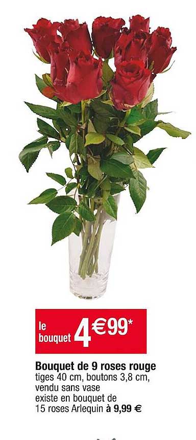 Bouquet De 9 Roses Rouge
