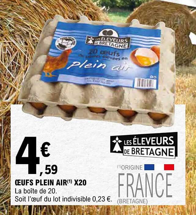 œufs plein air x20