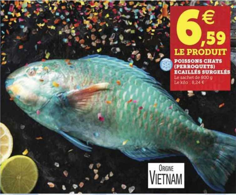 poissons chats (perroquets) écaillés surgelés