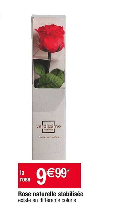 rose naturelle stabilisée