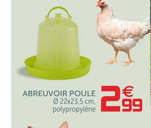 Abreuvoir Poule