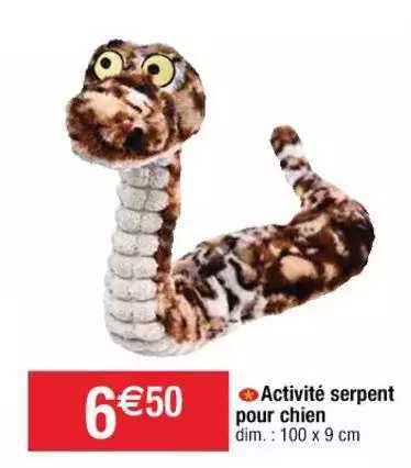 activité serpent pour chien