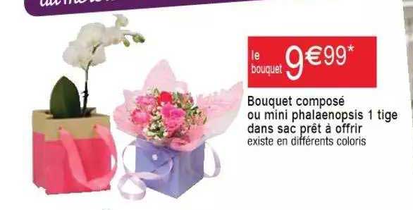 bouquet composé ou mini phalaenopsis 1 tige dans sac prêt à offrir