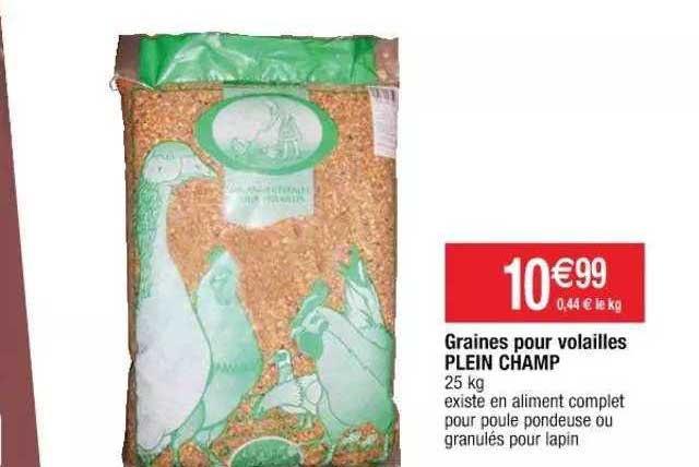 graines pour volailles plein champ
