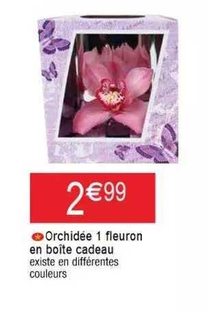 orchidée 1 fleuron en boîte cadeau