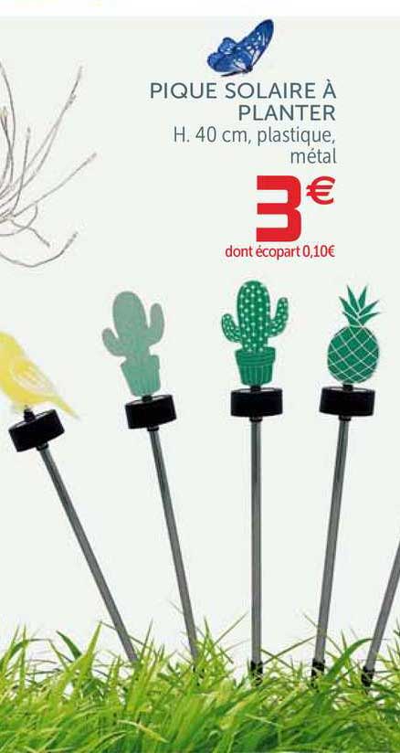 pique solaire à planter