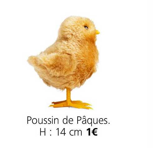 Poussin De Pâques