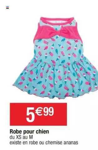 Robe Pour Chien