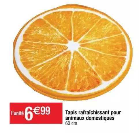tapis rafraîchissant pour animaux domestiques
