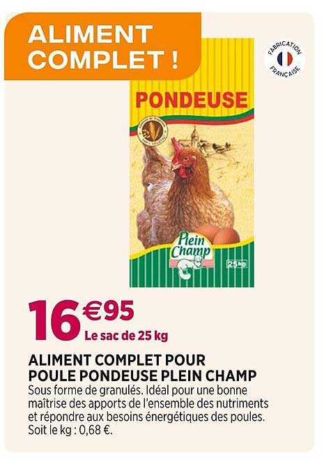 aliment complet pour poule pondeuse plein champ