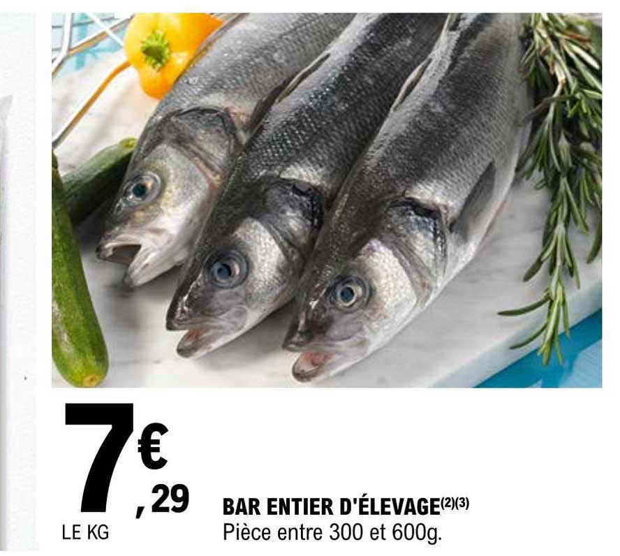 bar entier d'élevage