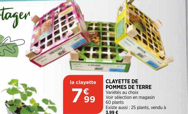 clayette de pommes de terre