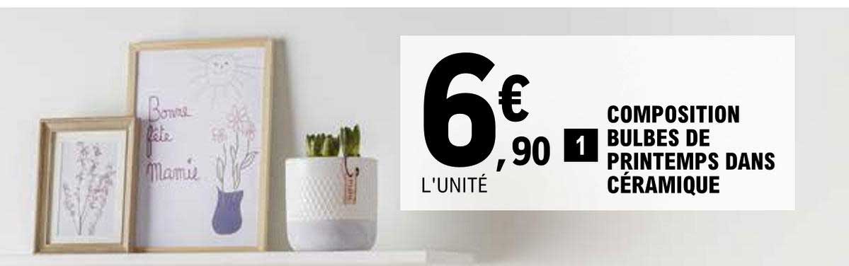 composition bulbes de printemps dans céramique