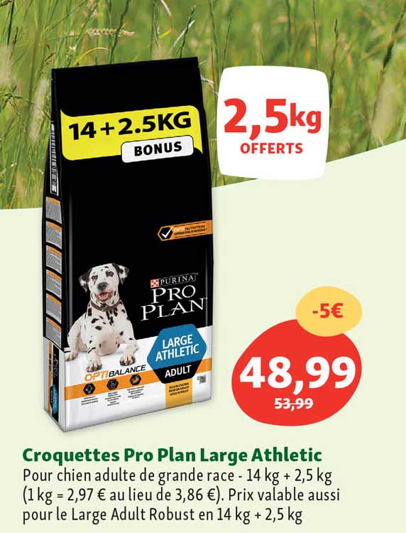 croquettes pro plan large athletic