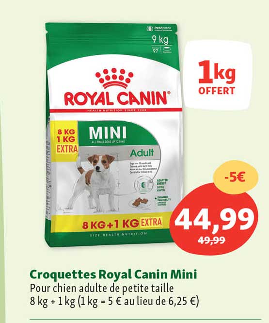 croquettes royal canin mini