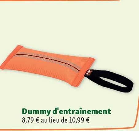 dummy d'entraînement