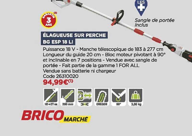 élagueuse sur perche bg esp 18 li