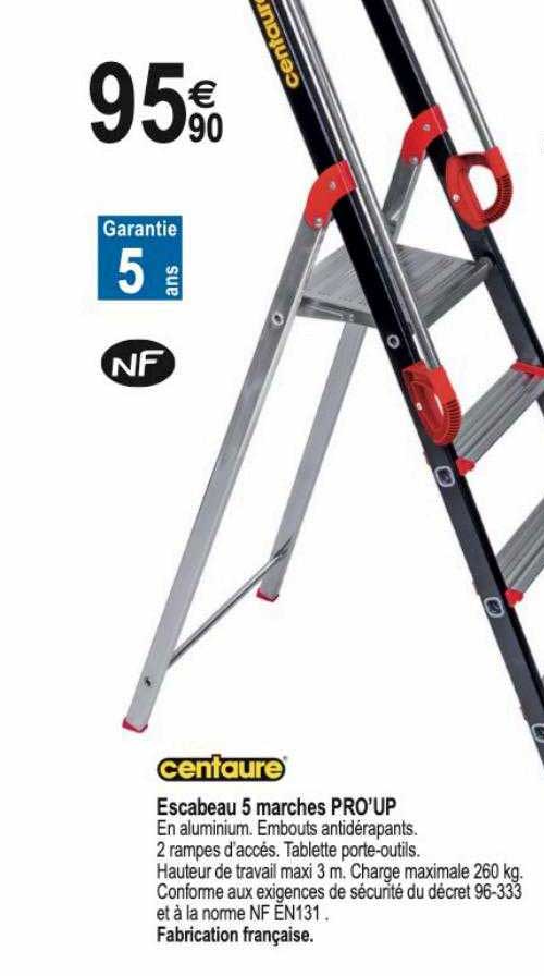 Escabeau 5 Marches Pro'up Centaure