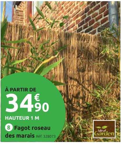 fagot roseau des marais